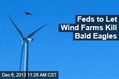 Feds to Let Wind Farms Kill Bald Eagles