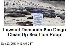 Lawsuit Demands San Diego Clean Up Sea Lion Poop