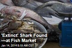 &#39;Extinct&#39; Shark Found ... at Fish Market