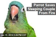 Parrot Saves Sleeping Couple From Fire