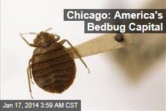 Chicago: America&#39;s Bedbug Capital