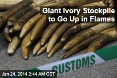 Hong Kong to Torch Giant Ivory Stockpile