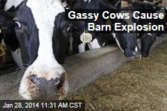 Gassy Cows Cause Barn Explosion