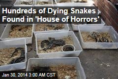 Hundreds of Dying Snakes Found in Hoarder&#39;s Home