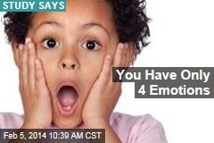 You Only Have 4 Emotions