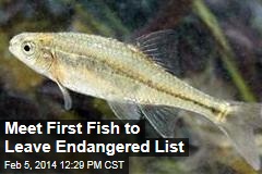 Meet First Fish to Leave Endangered List