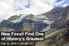 New Fossil Find One of History&#39;s Greatest
