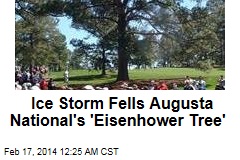 Ice Storm Victim: Golf&#39;s &#39;Eisenhower Tree&#39;