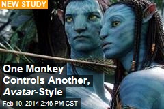 One Monkey Controls Another, Avatar -Style