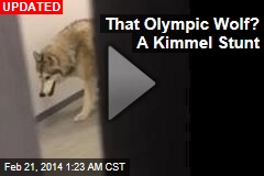 US Olympian Runs Into Wolf&mdash; in Sochi Dorm