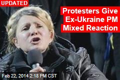 Ukraine&#39;s Opposition Icon Emerges