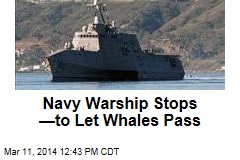Navy Warship Stops &mdash;to Let Whales Pass