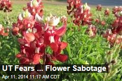 UT Fears ... Flower Sabotage