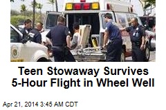 Teen Stowaway Survives Calif.-Hawaii Flight in Wheel Well
