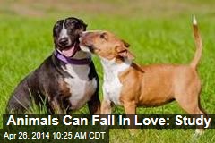 Animals Can Fall In Love