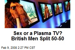 Sex or a Plasma TV? British Men Split 50-50
