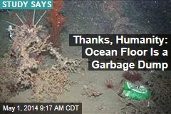 Thanks, Humanity: Ocean Floor Is a Garbage Dump