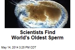 Scientists Find World&#39;s Oldest Sperm