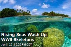 Rising Seas Wash Up WWII Skeletons