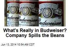 What&#39;s Really in Budweiser? Company Spills the Beans