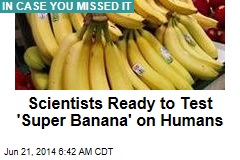 Scientists Ready to Test &#39;Super Banana&#39; on Humans