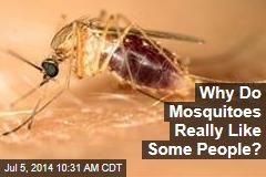Why Do Mosquitoes Really Like Some People?