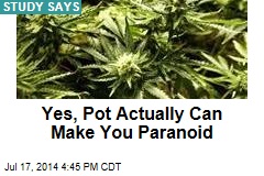 Yes, Pot Actually Can Make You Paranoid