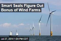 Smart Seals Figure Out Bonus of Wind Farms