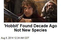 &#39;Hobbit&#39; Found Decade Ago Not New Species