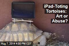 iPad-Toting Tortoises: Art or Abuse?