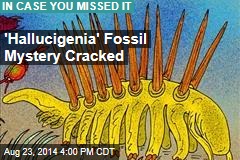 &#39;Hallucigenia&#39; Fossil Mystery Cracked