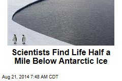 Scientists Find Life Half a Mile Below Antarctic Ice