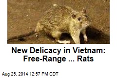 New Delicacy in Vietnam: Free-Range ... Rats
