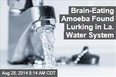 Brain-Eating Amoeba Found Lurking in La. Water System