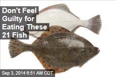 Don&#39;t Feel Guilty for Eating These 21 Fish