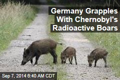 Germany Grapples With Chernobyl&#39;s Radioactive Boars