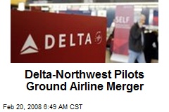 Delta-Northwest Pilots Ground Airline Merger