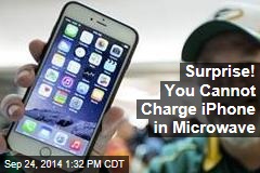 Surprise! You Cannot Charge iPhone in Microwave