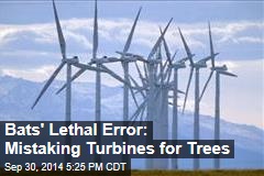 Bats&#39; Lethal Error: Mistaking Turbines for Trees