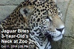 3-Year-Old Bitten in Zoo&#39;s Jaguar Display