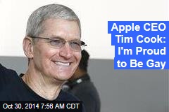 Apple CEO Tim Cook: I&#39;m Gay