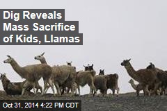 Dig Reveals Mass Sacrifice of Kids, Llamas