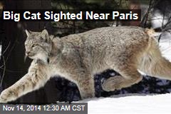 Big Cat Sighted Near Paris