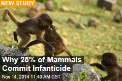 Why 25% of Mammals Commit Infanticide