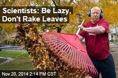 Scientists: Be Lazy, Don&#39;t Rake Leaves