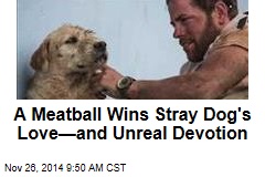 A Meatball Wins Stray Dog&#39;s Love&mdash;and Unreal Devotion