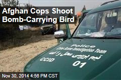 Afghan Cops Shoot Bomb-Carrying Bird