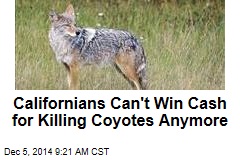 Californians Can&#39;t Win Cash for Killing Coyotes Anymore