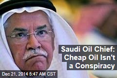 Saudi Oil Chief: Cheap Gas Isn&#39;t a Conspiracy