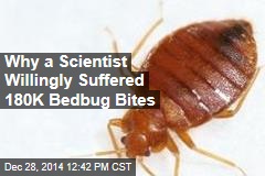 Scientist Making Bedbug Trap Puts Up With 180K Bites